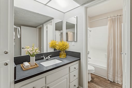 A bathroom with a sink, mirror, and toilet.