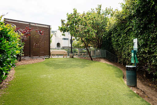 A green lawn with a trash can and a fence.
