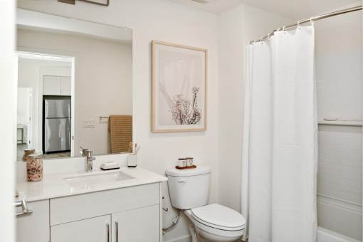 Large Bath with Tub at BRIX325 Apartments