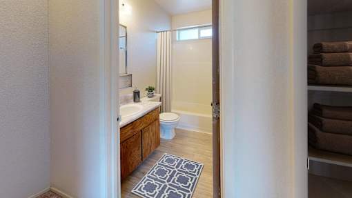 a bathroom with a sink and a toilet and a shower