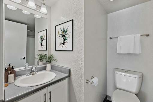 a bathroom with a sink and a toilet and a mirror
