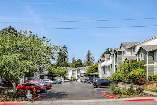 A sunny day at a residential area with cars parked in a row.