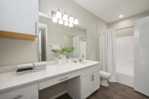 a bathroom with a sink and a toilet