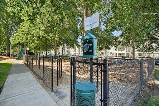 Dog park at Thorncroft