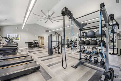 A gym with treadmills, weights, and exercise equipment.