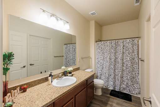 Furnished Bathroom at North Peak Apartments