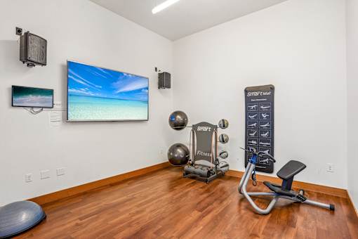 A home gym with a TV, weights, and exercise equipment.