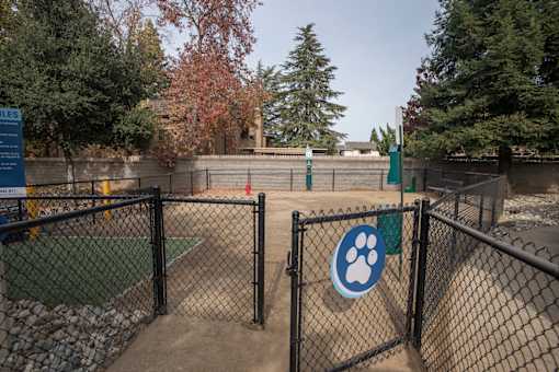 Dog Park at Atwood Apartments, California