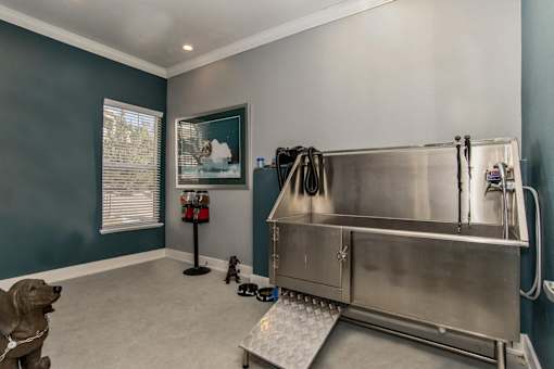 Pet Sink for Cleaning at Stone Cliff Apartments