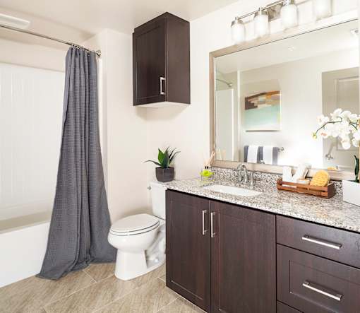 A bathroom with a white toilet, a sink, and a mirror.