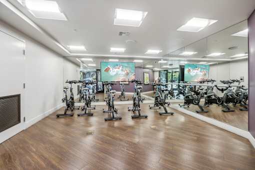 the gym has a large number of exercise bikes in it
