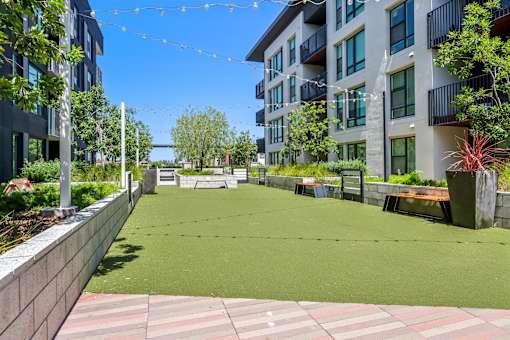 a large grassy area with apartment buildings and strings of lights
