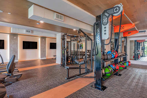 A gym with a variety of equipment including a squat rack and weight bench.