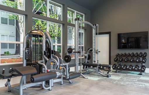 A gym with a variety of equipment including a treadmill, weights, and a bench.