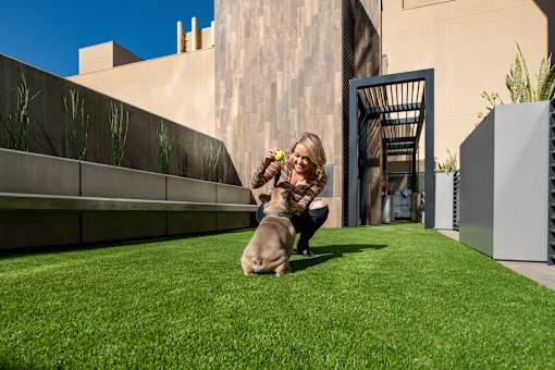 a woman is playing with her dog on the grass