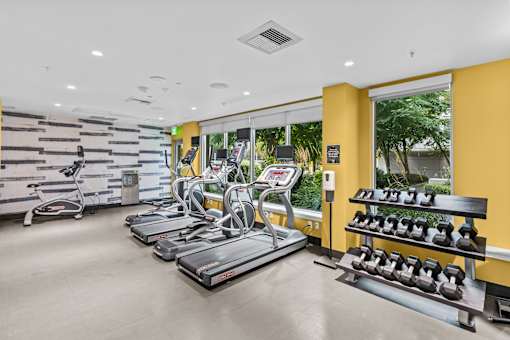 A gym with treadmills, elliptical machines, and dumbbells.