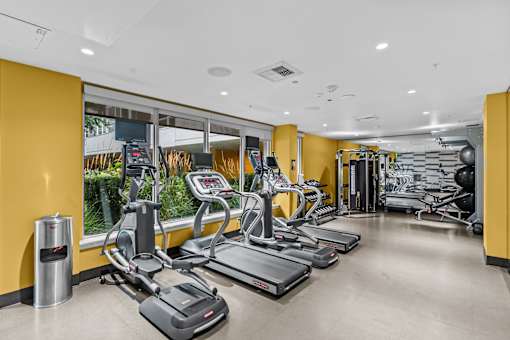 A gym with treadmills, elliptical machines, and weights.