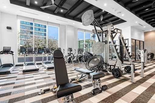 A gym with a variety of equipment including weights and treadmills.