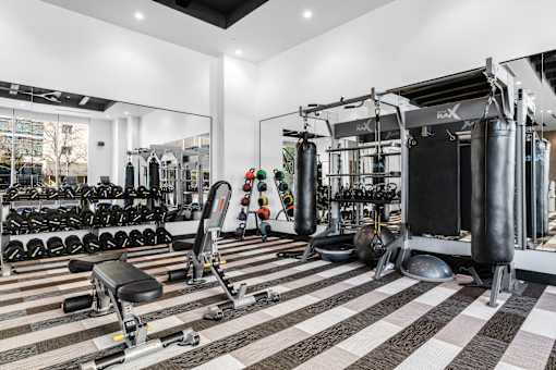 A gym with a variety of equipment including weights and a punching bag.