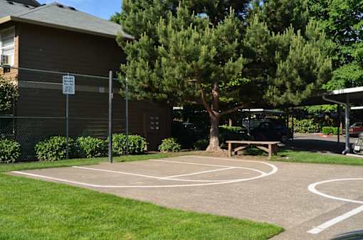 A basketball court is surrounded by a green lawn and a fence.
