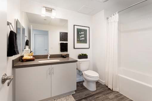 Bathroom 2 at Evolve at South Bay