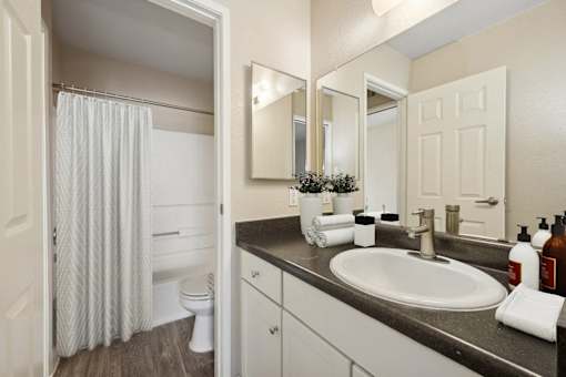 a bathroom with a sink and a toilet and a shower
