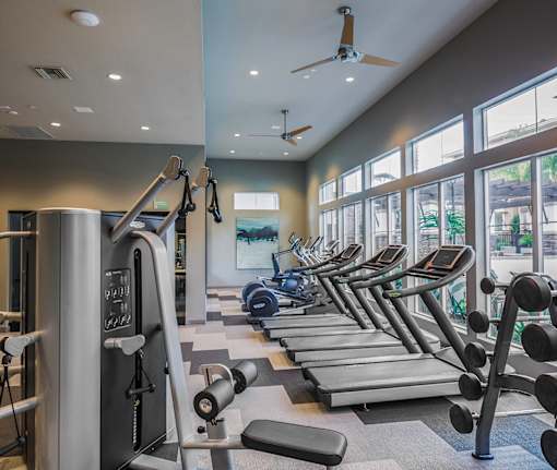 A gym with treadmills, weights, and a ceiling fan.