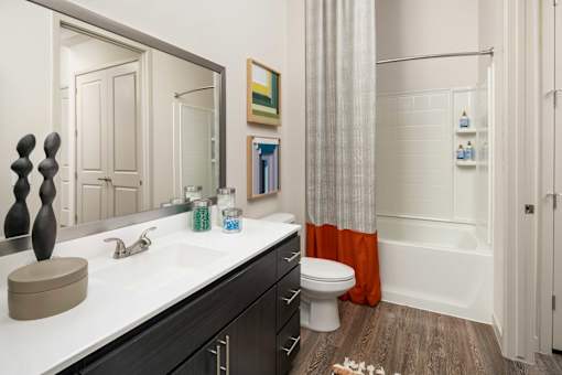 a bathroom with a sink and a toilet and a shower