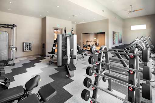 A gym with a variety of equipment including weights and cardio machines.