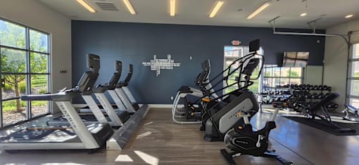 A gym with treadmills, elliptical machines and other cardio equipment.