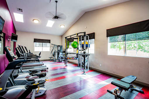 A gym with a variety of equipment including treadmills, weights, and a bench press.