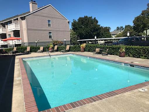 A swimming pool surrounded by a brick border and lounge chairs.