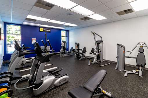 a gym with cardio equipment and weights in a health center