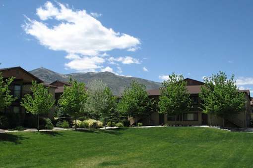 a group of houses with trees and mountains in the background