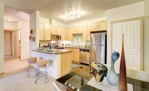 Dishwasher Available at Newberry Square Apartments, Washington, 98087