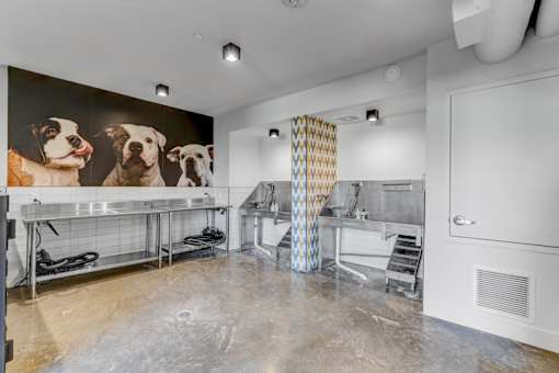 pet wash station at Novo Apartments