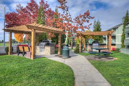 A park with a pavement, a bench, a tree and a building in the background.