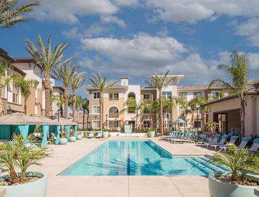 A large swimming pool surrounded by palm trees and lounge chairs.