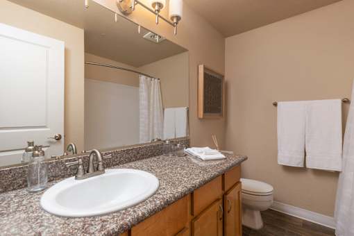 Upgraded Bathroom Fixtures at Riverwalk at Happy Valley, Happy Valley