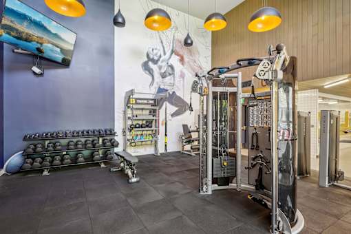 a gym with weights and a mural on the wall