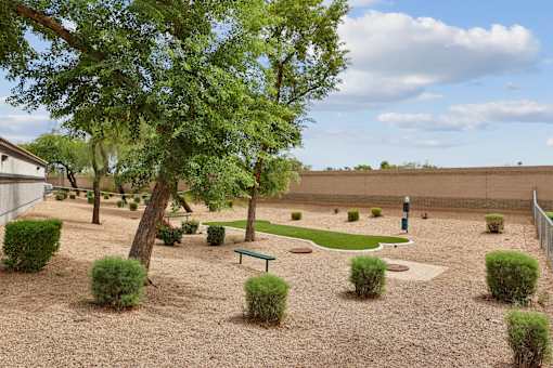 A backyard with a tree, bushes, and a bench.