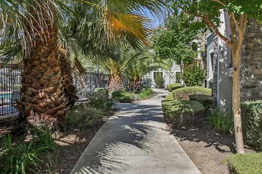 A pathway with a fence and a palm tree on the left.