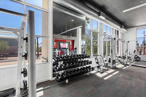 A gym with a variety of equipment including weights and cardio machines.