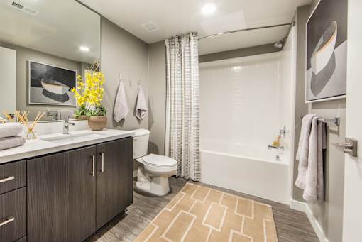 Bathroom at Marc San Marcos Apartments