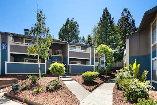 Green Landscaping at Maris at Martinez