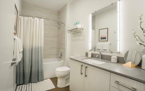 a bathroom with a shower toilet and sink and a mirror