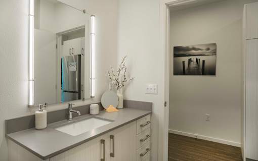 a bathroom with a large mirror and a sink