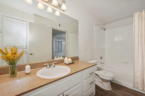 a bathroom with a sink and a toilet and a mirror