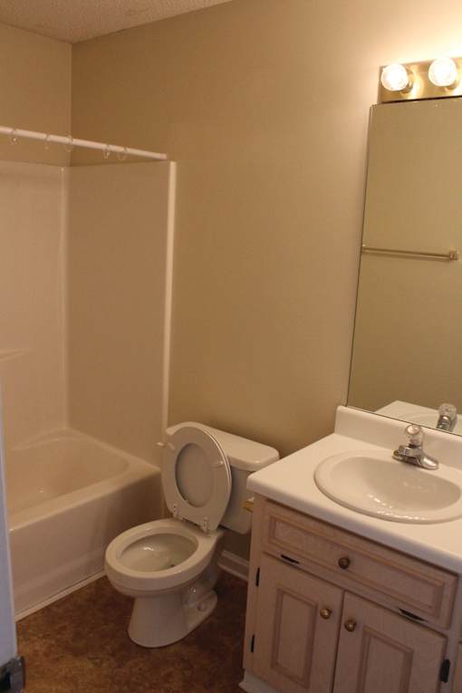 a bathroom with a toilet and a sink and a bath tub