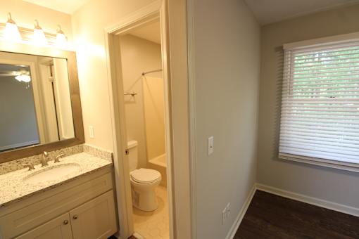 a bathroom with a toilet and a sink and a mirror